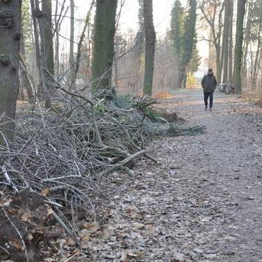 Holzschnitt-Lagerplatz im Rathmannsdorfer Park