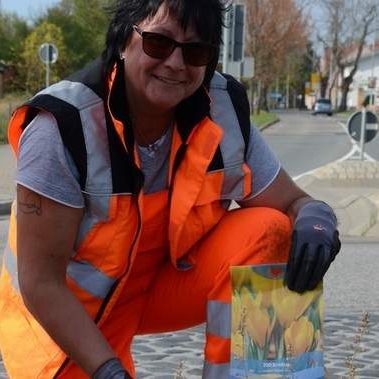 Sabine Ahne vom Stadtpflegebetrieb pflanzt zusammen mit ihrer Kollegin Petra Podschun Krokusse am Kreisverkehr in der Bernburger Straße in Staßfurt ein.